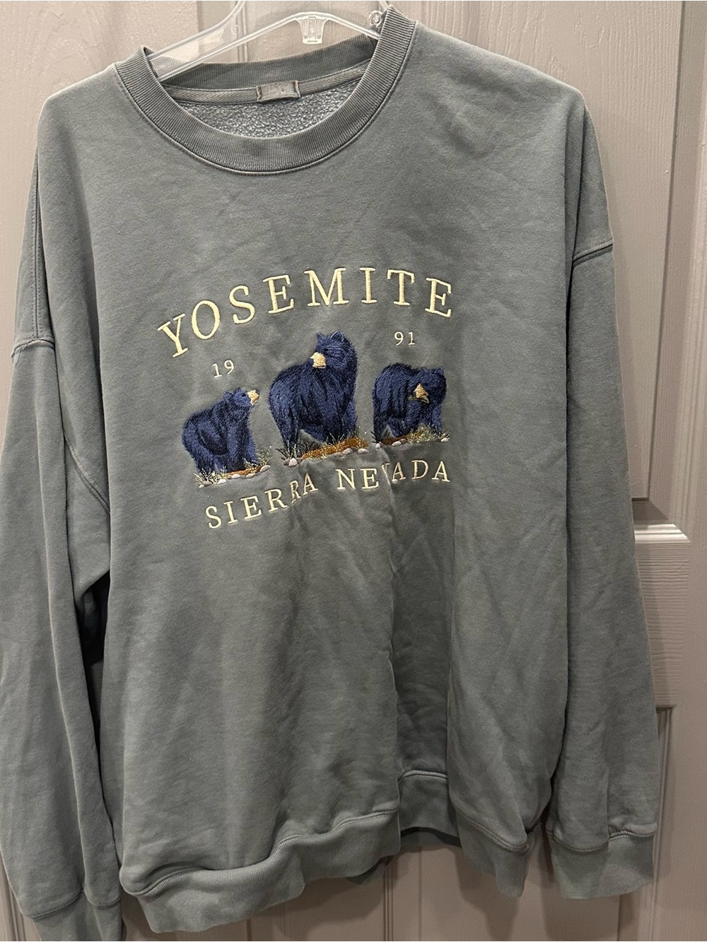 RARE Brandy Melville Yosemite Sage Green Crewneck Sweatshirt